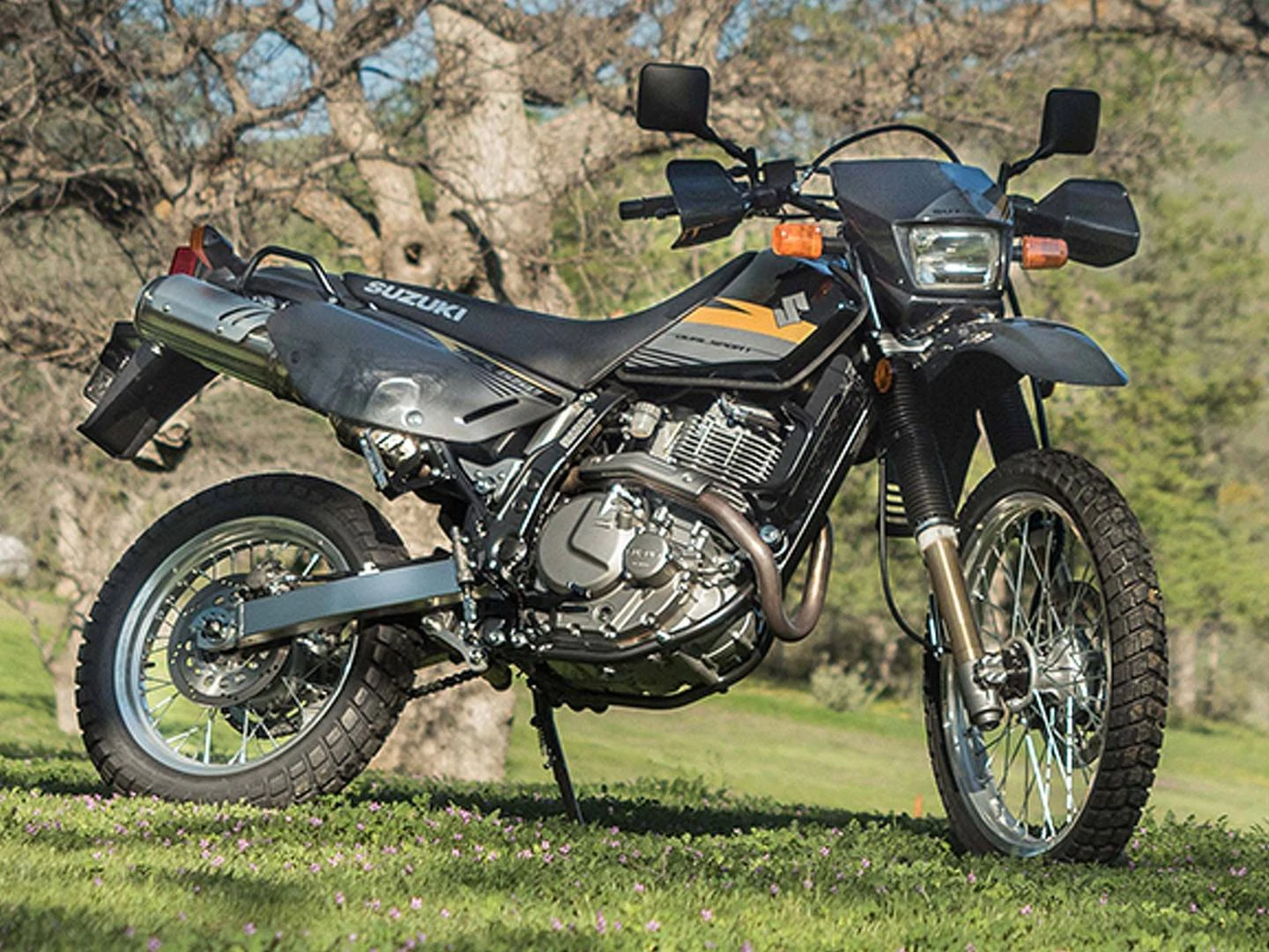 Experience the thrill of off-road adventure with the powerful Suzuki DR650