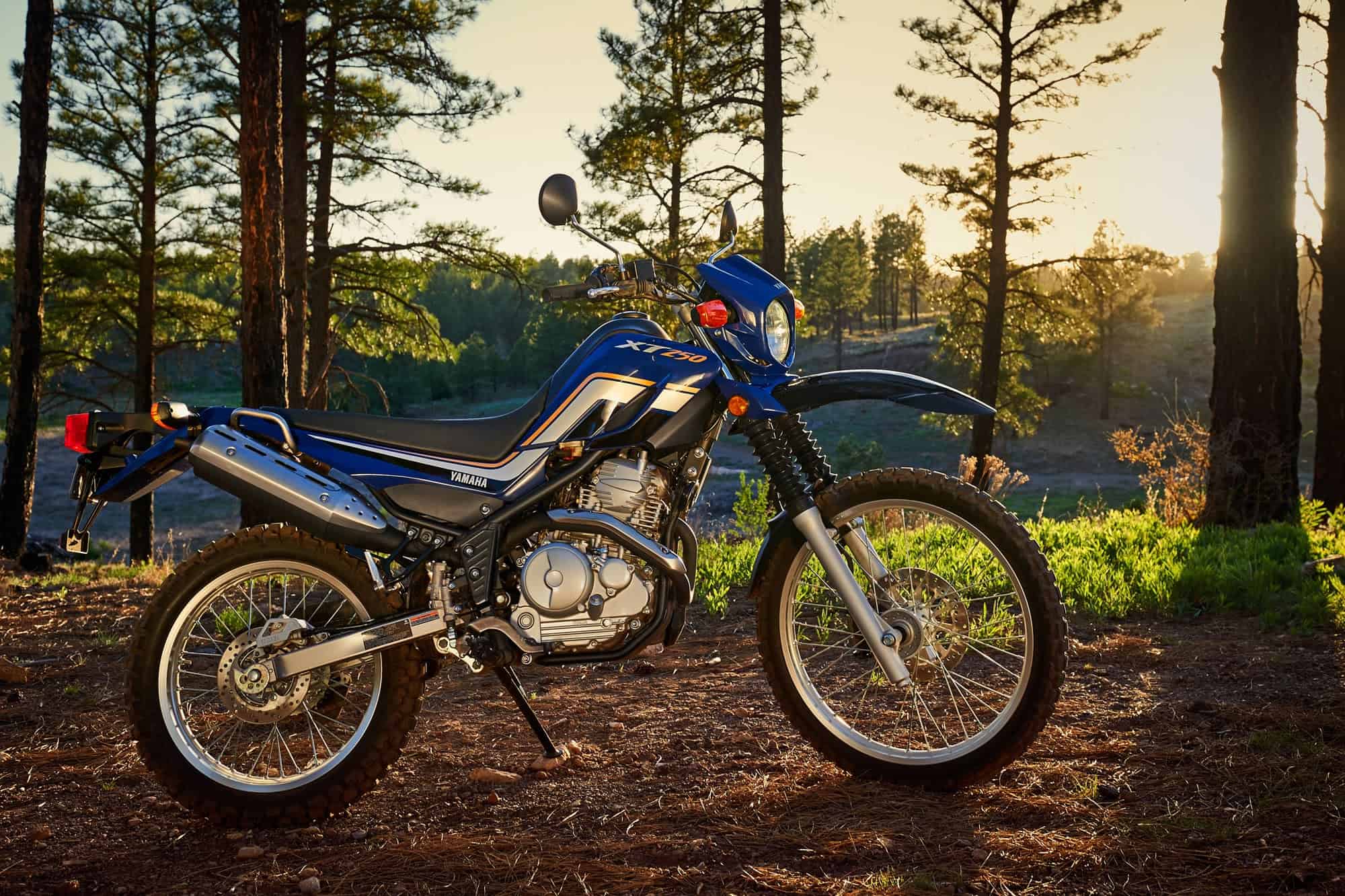 Unleash your spirit of adventure with this versatile dual-purpose motorcycle
