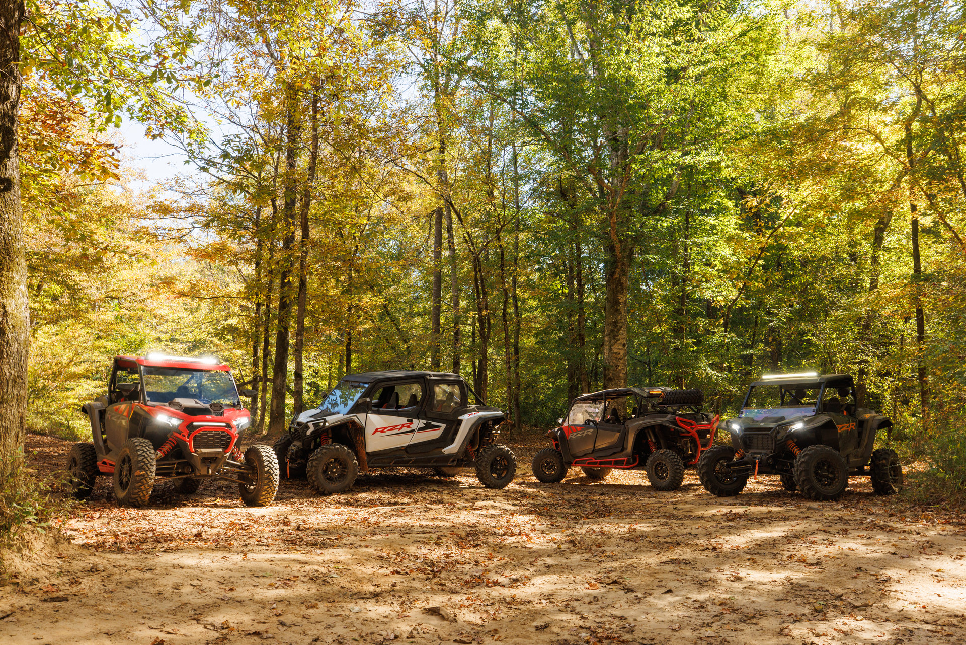 Off-Roading Adventure in the Wilderness: Side-by-Side UTV for Exploring Nature